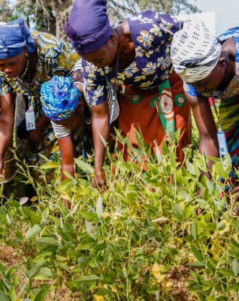 Ghana-MSR-Cover-Photo-2-scaled