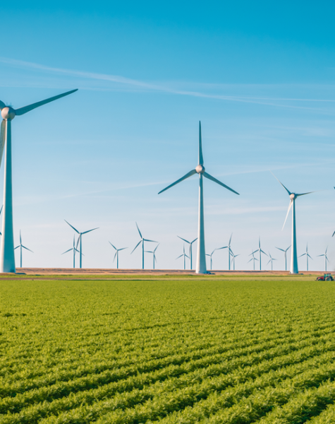 header-wind-energy-1150x650